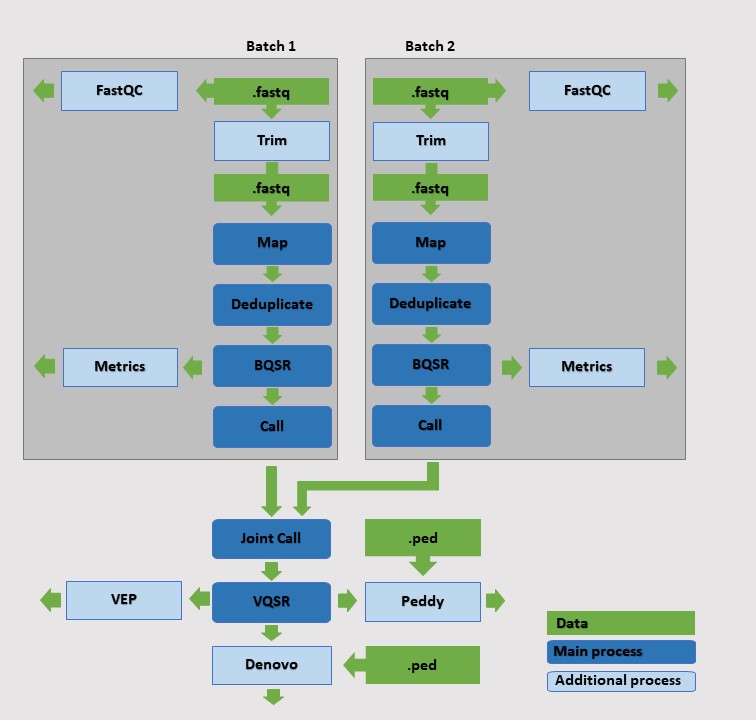 Germline Workflow